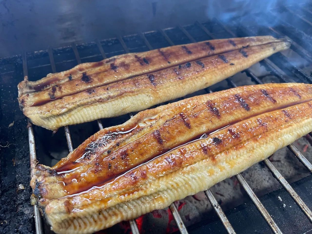 [特大鰻][2尾セット][180g−220g][国産鰻]三河一色産 鰻 炭焼き
