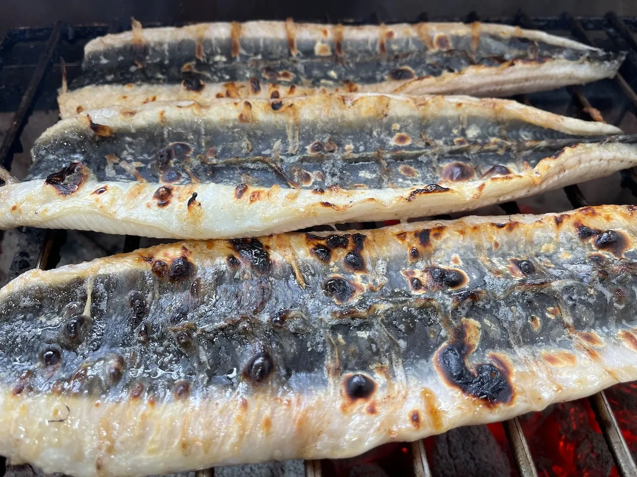 [特大鰻][2尾セット][180g−220g][国産鰻]三河一色産 鰻 炭焼き