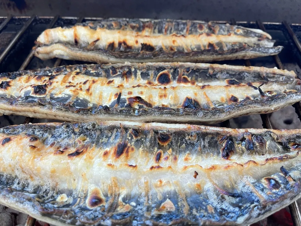 [限定出品‼︎][特大鰻][国産うなぎ][特大6尾]三河一色産 鰻 炭焼き