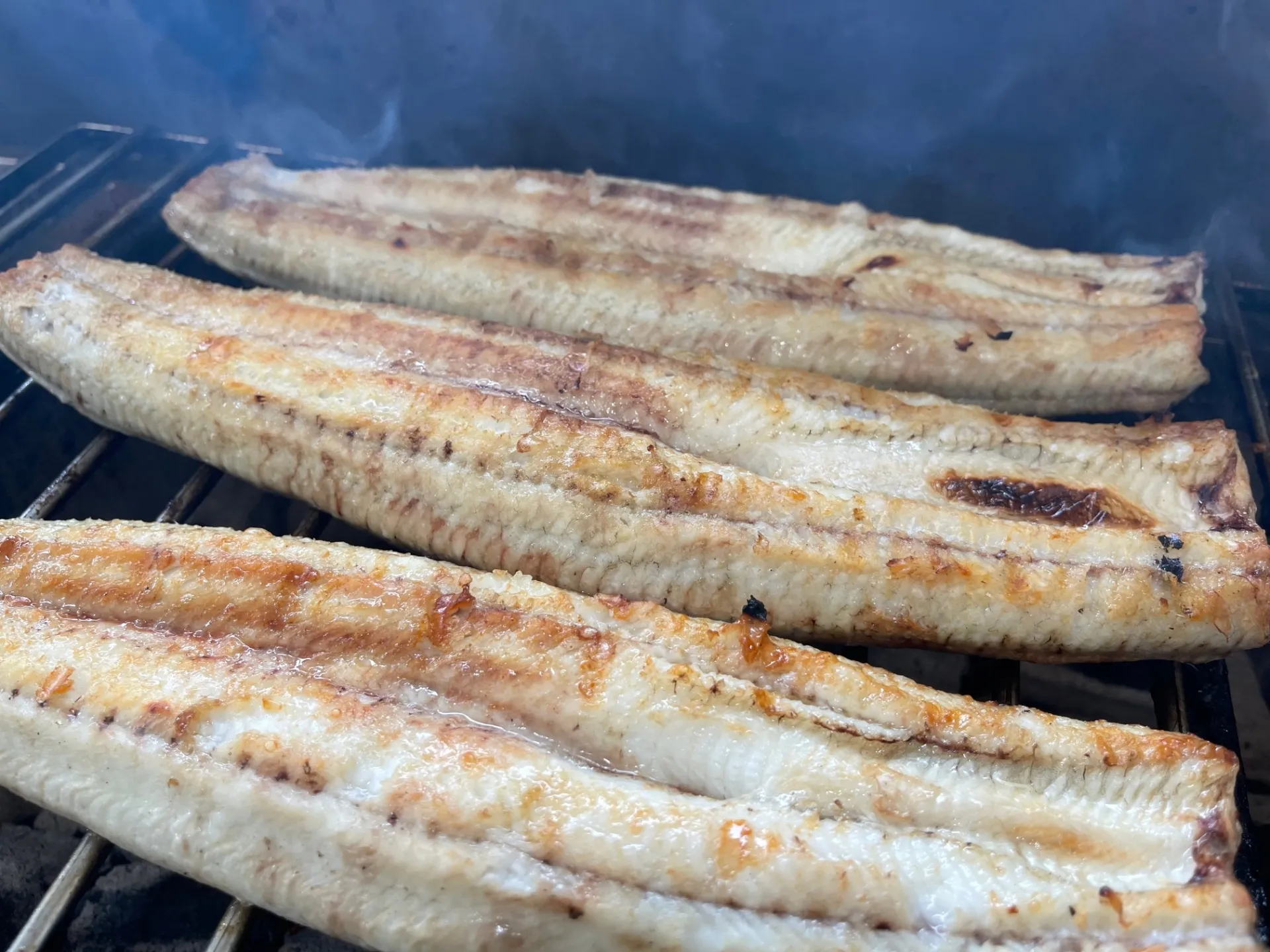 【炭焼うなぎ】大サイズ140g -170g 三河一色産 2尾セット 炭火焼き鰻