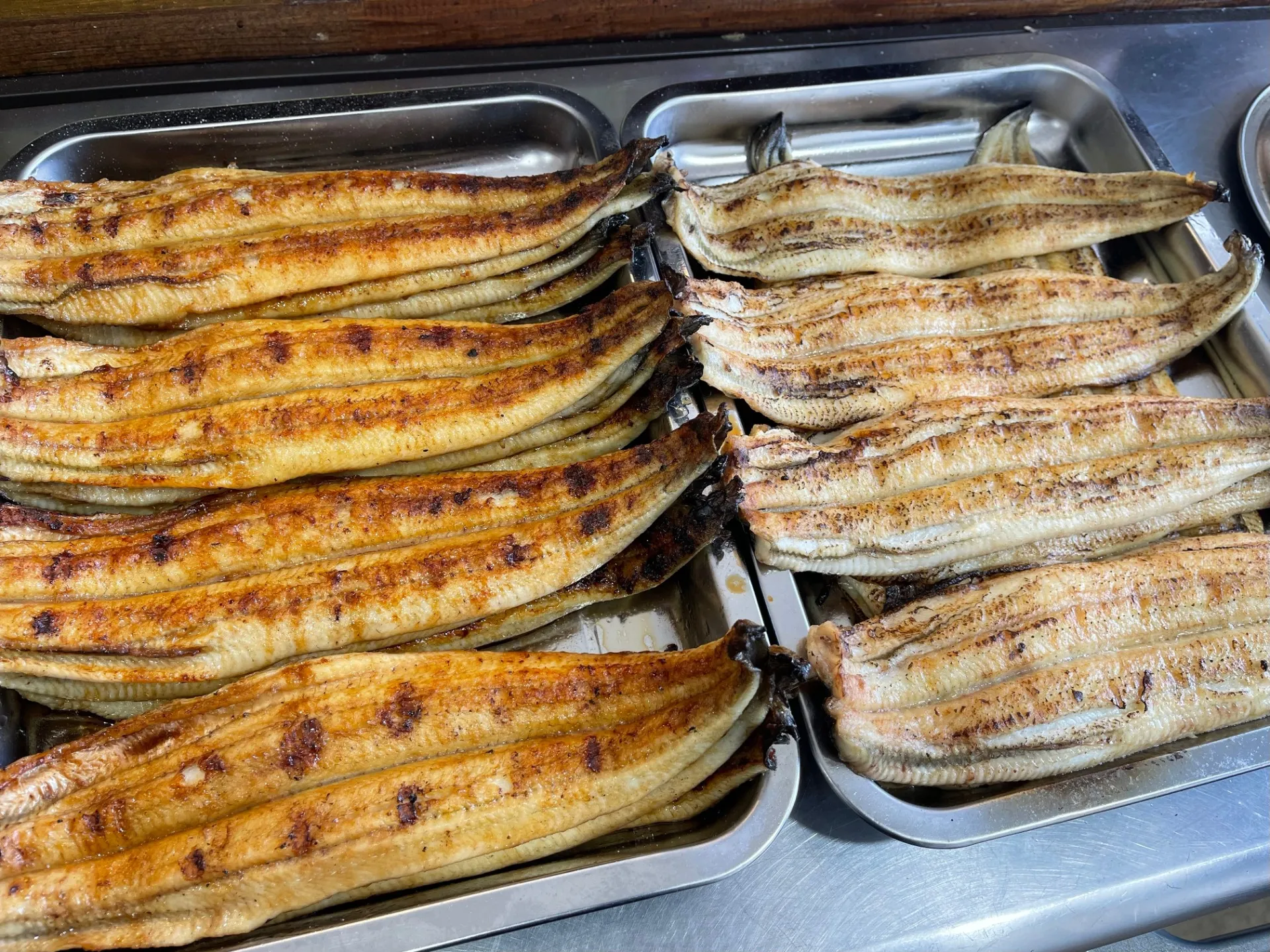 【国産鰻10尾】愛知県 三河一色うなぎ 送料込み