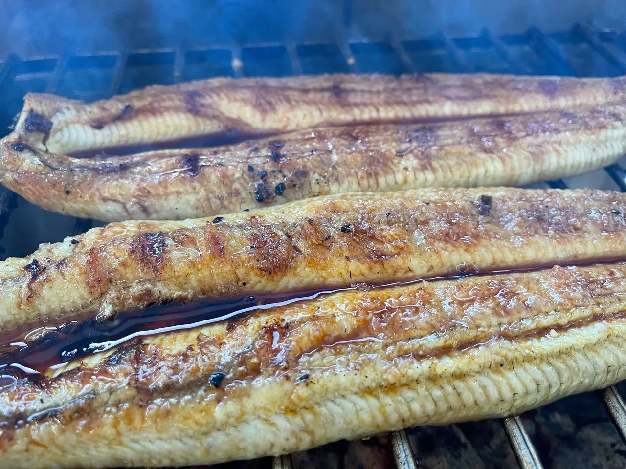【炭焼うなぎ】国産鰻 5尾 三河一色産 送料込み