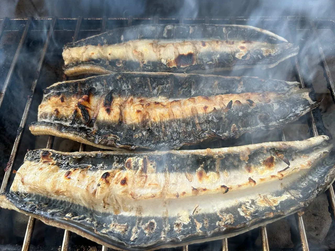 【炭焼うなぎ】国産鰻 5尾 三河一色産 送料込み