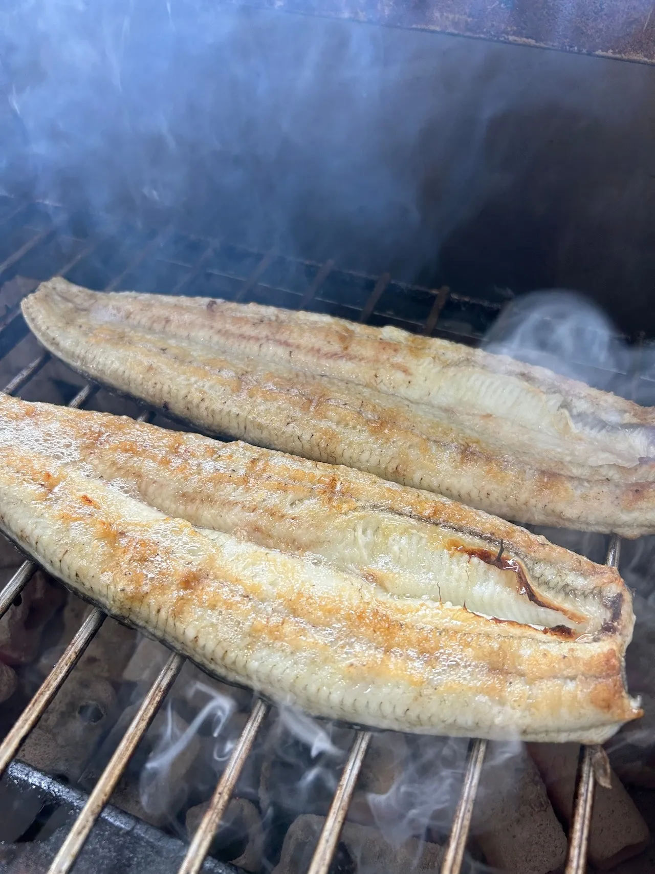 【炭焼うなぎ】国産鰻 5尾 三河一色産 送料込み