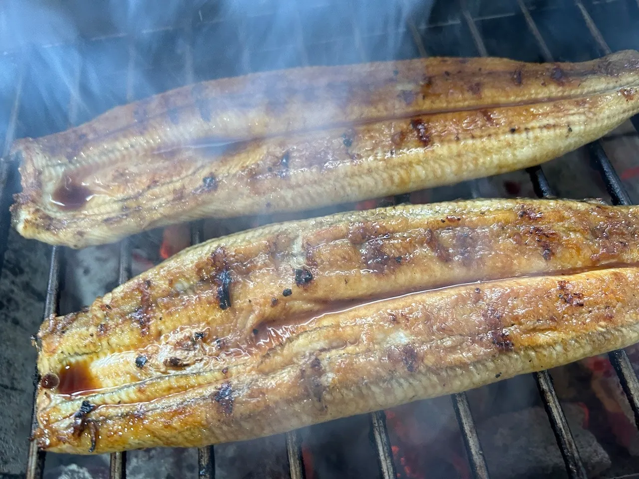 【炭焼うなぎ】大サイズ140g-170g 三河一色産 3尾 炭火焼き鰻
