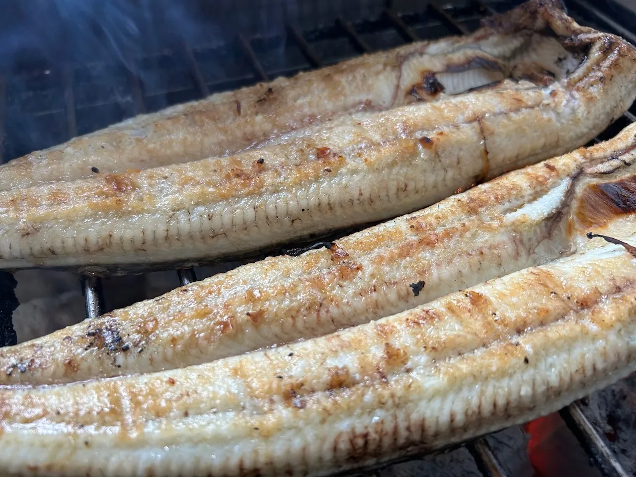【炭焼うなぎ】大サイズ140g-170g 三河一色産 3尾 炭火焼き鰻