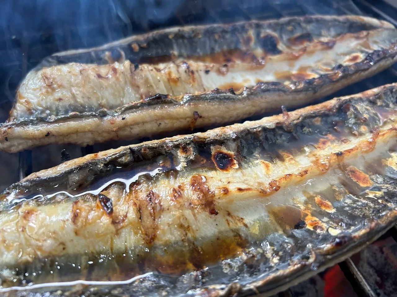 【炭焼うなぎ】大サイズ140g-170g 三河一色産 3尾 炭火焼き鰻