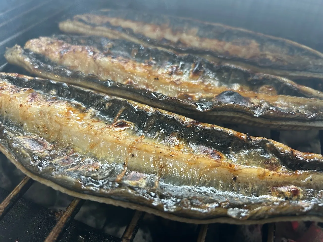 【新仔うなぎ】大サイズ135g-170g 鹿児島産 6尾セット 国産うなぎ