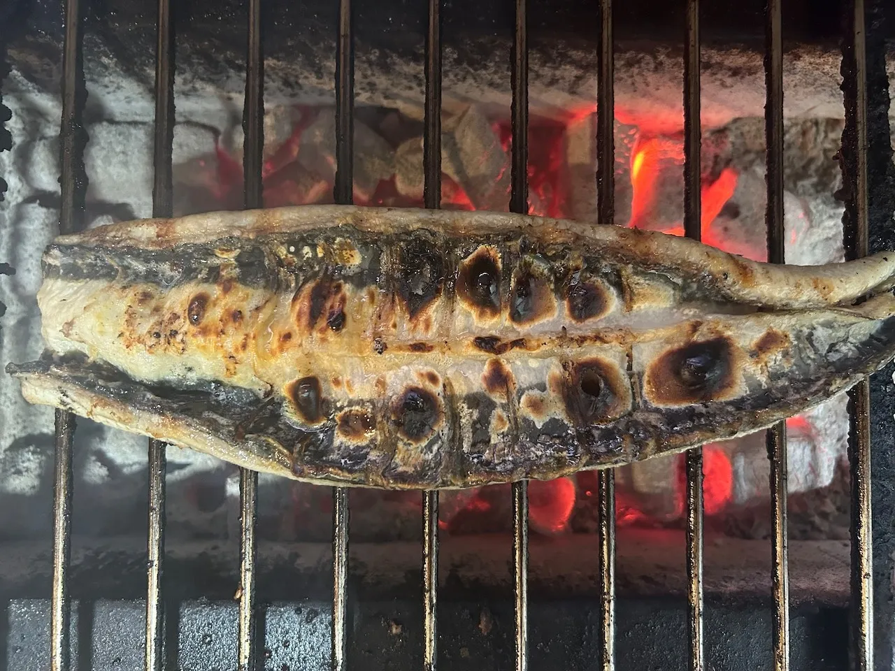 【新仔うなぎ】大サイズ135g-170g 鹿児島産 6尾セット 国産うなぎ
