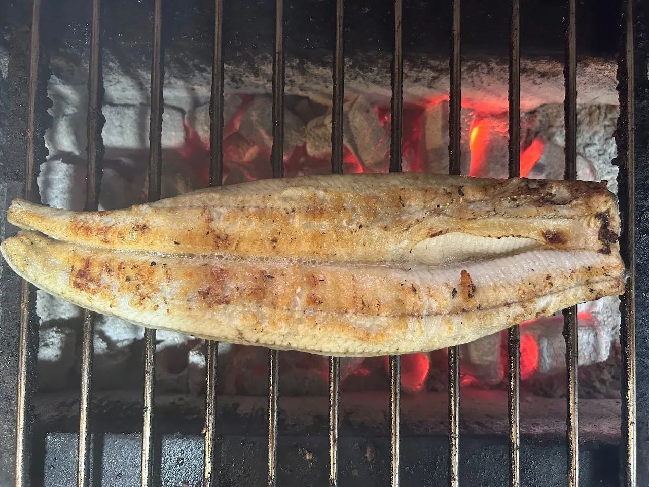 【新仔うなぎ】大サイズ135g-170g 鹿児島産 6尾セット 国産うなぎ