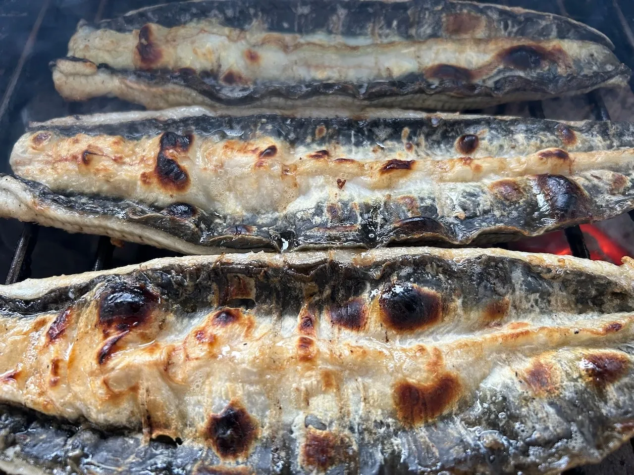 国産うなぎ専門店がお届けする・三河一色産のパリふわ鰻