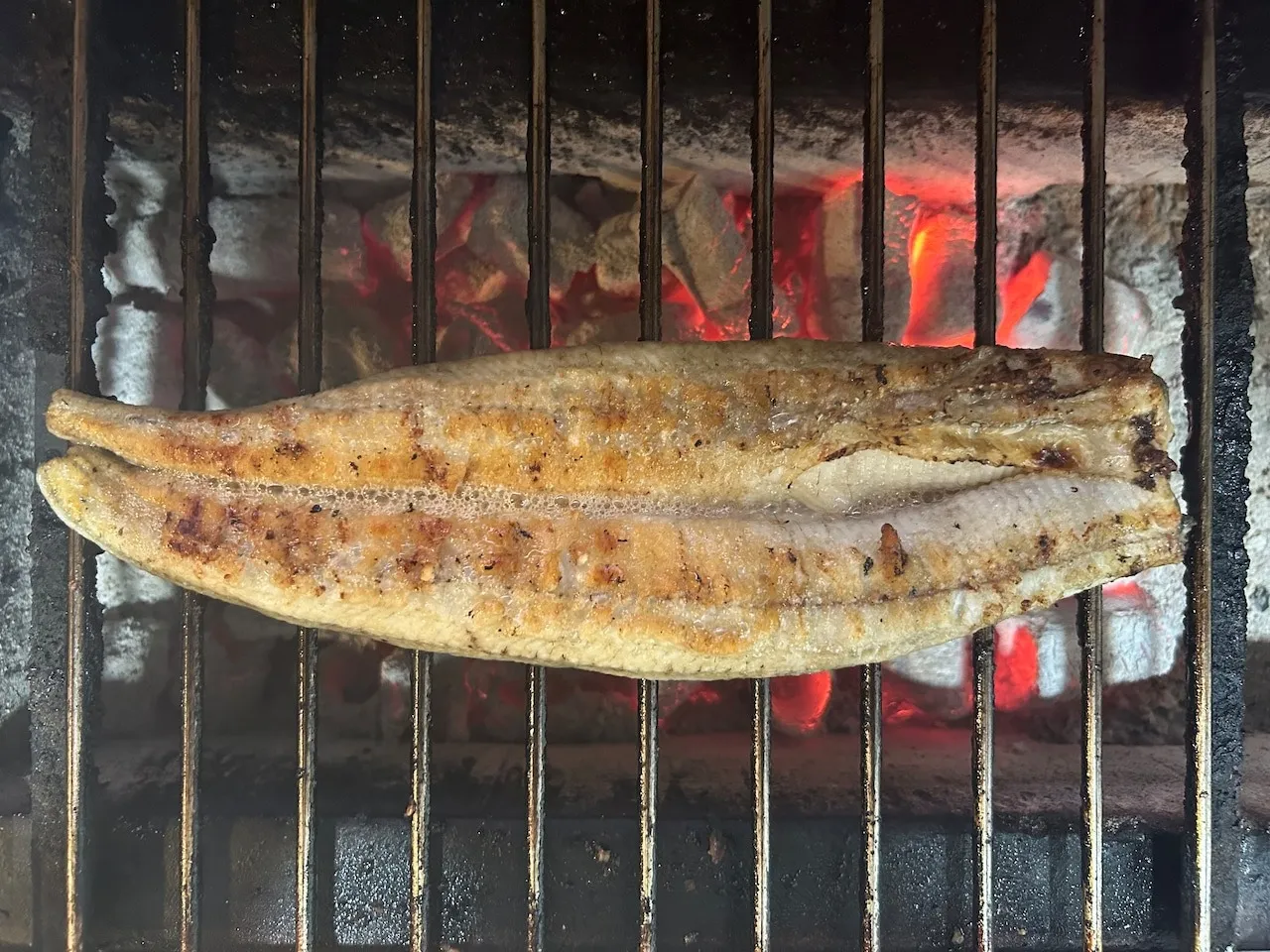 【新仔うなぎ】大サイズ135g-170g 鹿児島産 10尾セット 国産うなぎ