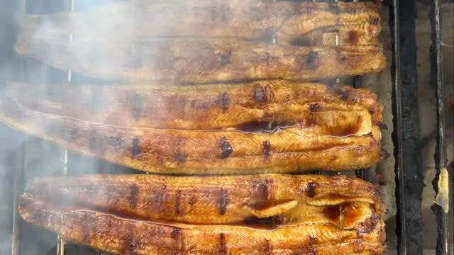 炭焼き国産うなぎが食べられます！【三河一色産】