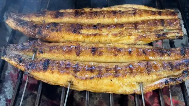 金土日のみ営業🈺国産炭焼き鰻にこだわる七丸水産です🙇